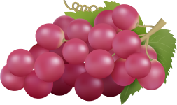 grapes olm